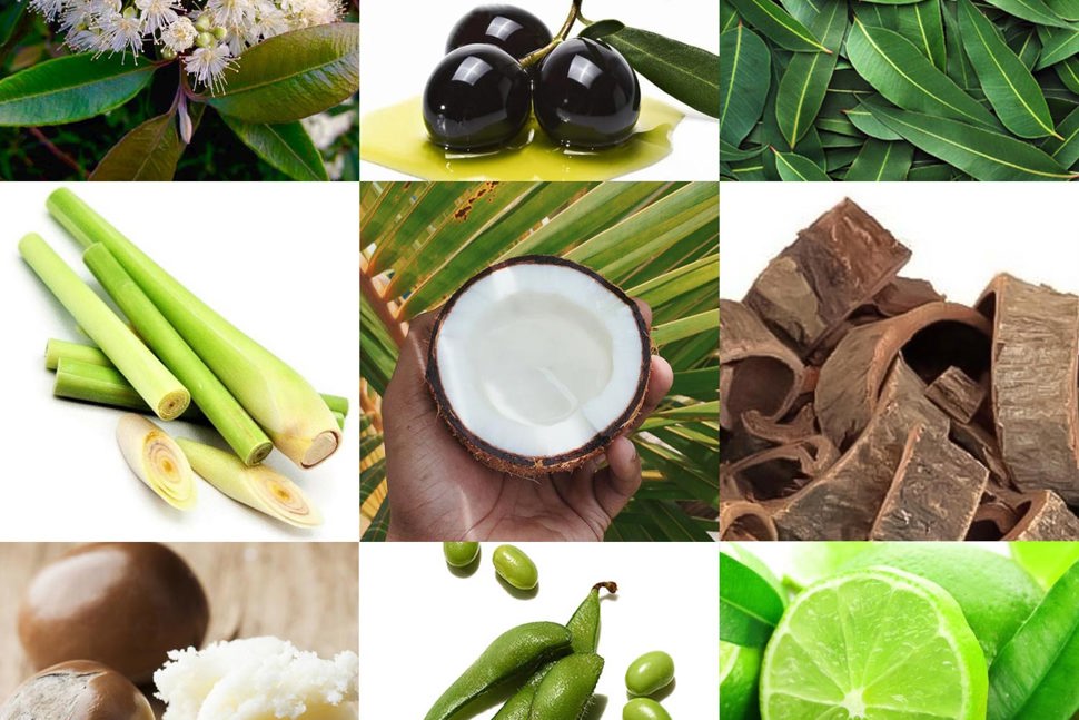 Aromatherapy Natural Candles