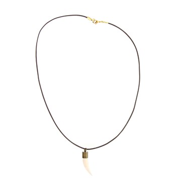 Crocodile Tooth Necklace Image