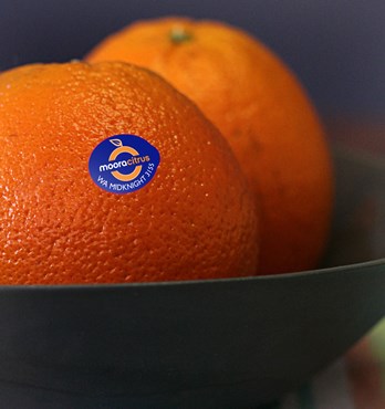 Moora Citrus Image