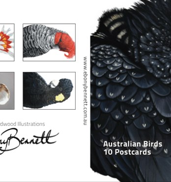 Birds of Australia Postcards Image