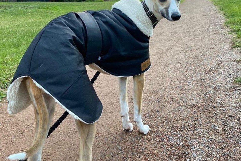 Fair Dinkum Dog Coats