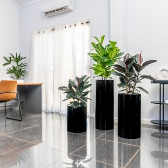 Cylindro Planter range