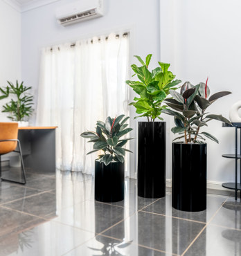 Cylindro Planter range Image