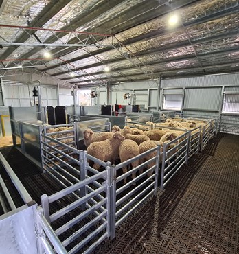 Shearing Module Image