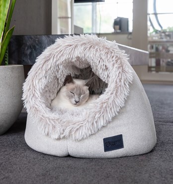 Calming Pet Dome Image