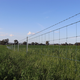 Waratah fencing