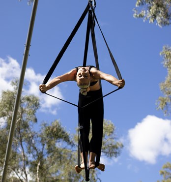 Straps Trapeze Image