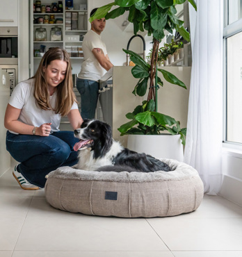 Harley Dog Bed Image