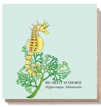 Big Belly Seahorse Greeting Card Image