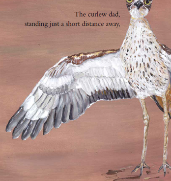 Children's Book  - Squeak and Squawk (curlew) Image