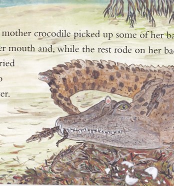 Children's Book - Nipper the Crocodile Image