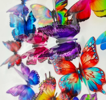 Suncatcher Film designs Image