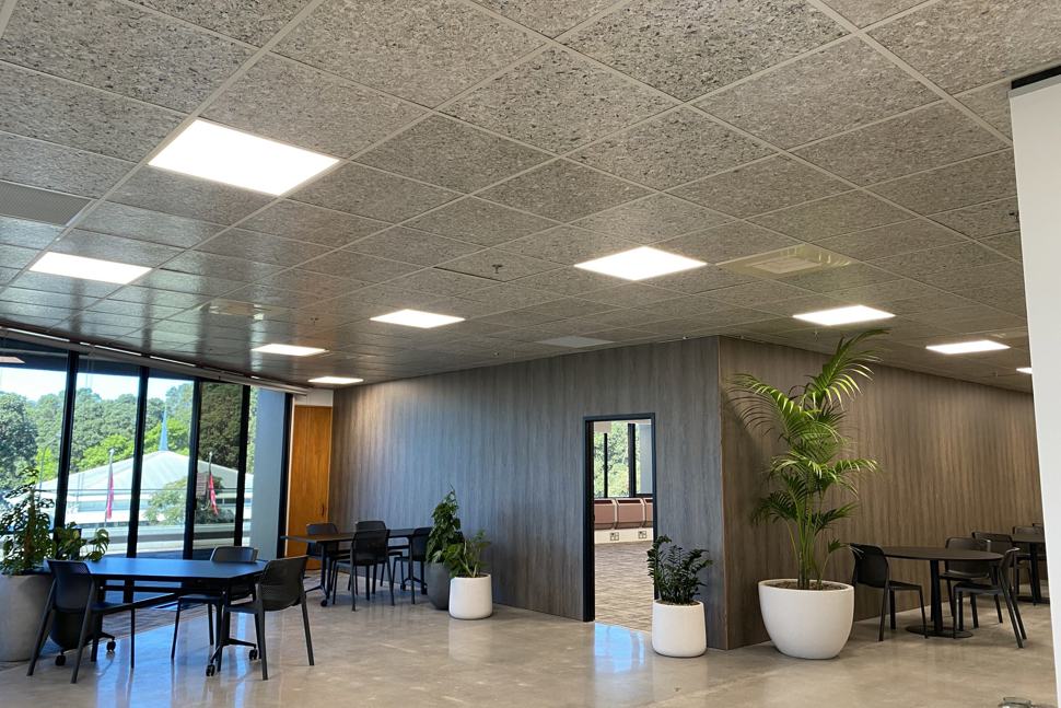 saveBOARD Ceiling Tiles