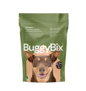 BuggyBix Image