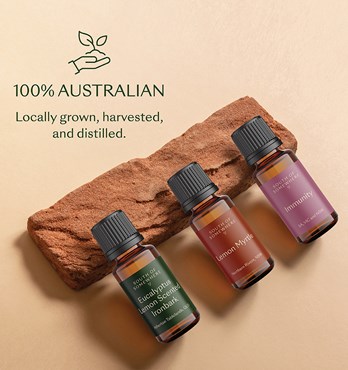 South of Somewhere essential oils Image