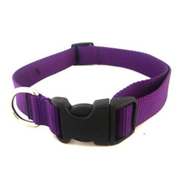 Webbed Dog Leads & Collars Image