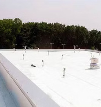 saveBOARD Roof Board Image