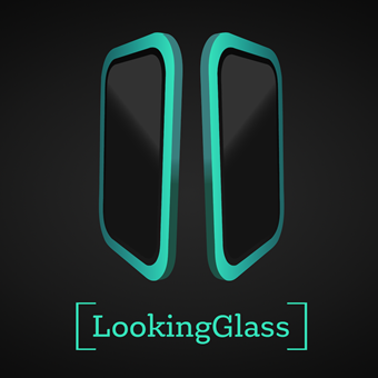Looking Glass - Workplace