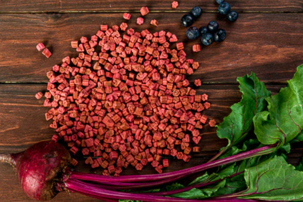 Immune Booster dog treats