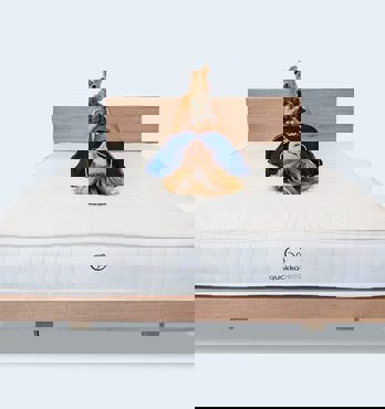 Floating Bed Base Image