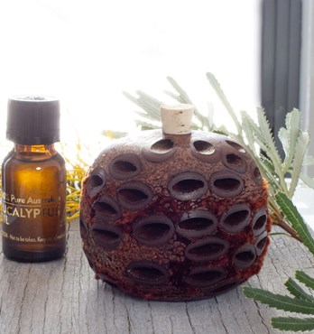Banksia Scent Pot And Fragrant Oil Image