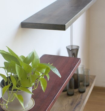 Timber Shelves Image