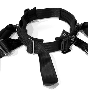 Bungee Harness Image