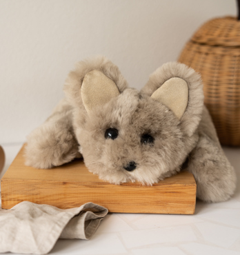 Tambo Teddies Peter Possum Image