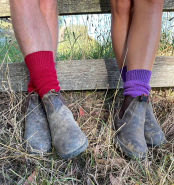 Merino Wool Socks Image