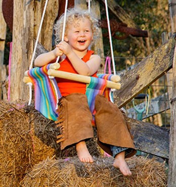 Baby & Toddler Swings Image