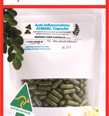 Moringa Horse Nutrient Pellets Image