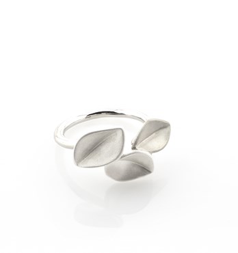 Silver rings, jewellery Image