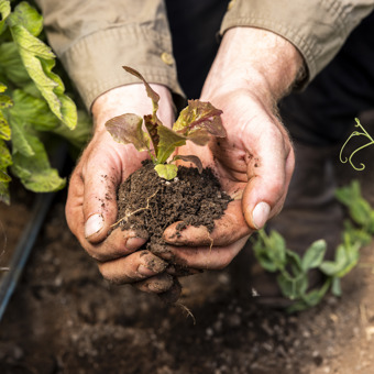 Company Image