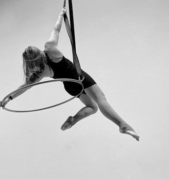 Solid Aerial Hoop - Tabbed and Tabless Image