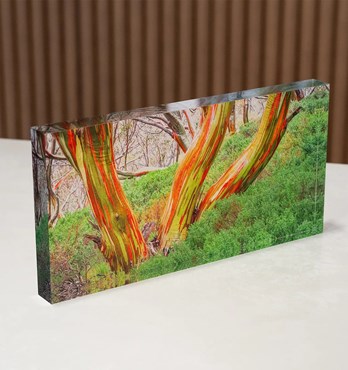 Scott Leggo - Acrylic Blocks Image