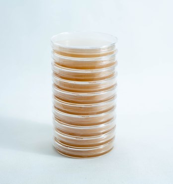 Agar Plates antibacterial (MEAG) Pre poured 90mm Image