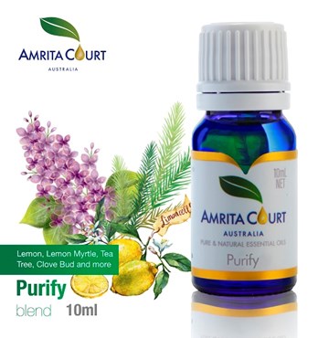 Purify Essential Oil Blend Image