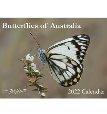 Calendars - Annual and Perpetual Image