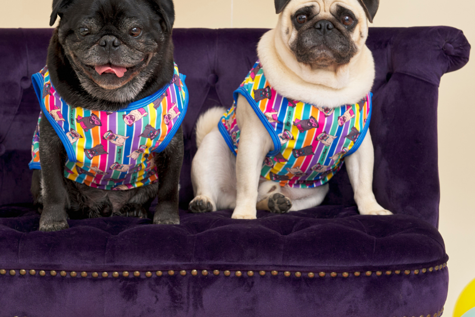Pugs n Stripes Blue T-shirt
