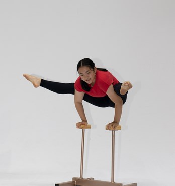 Hand Balance Stands Image