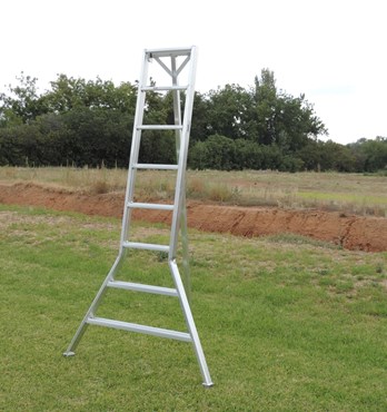 AIM Orchard Ladders Image