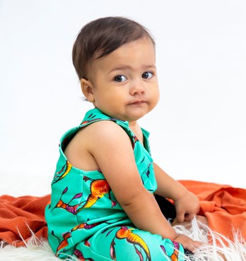 Organic Baby Rompers Image