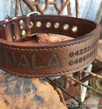 Leather belts Image