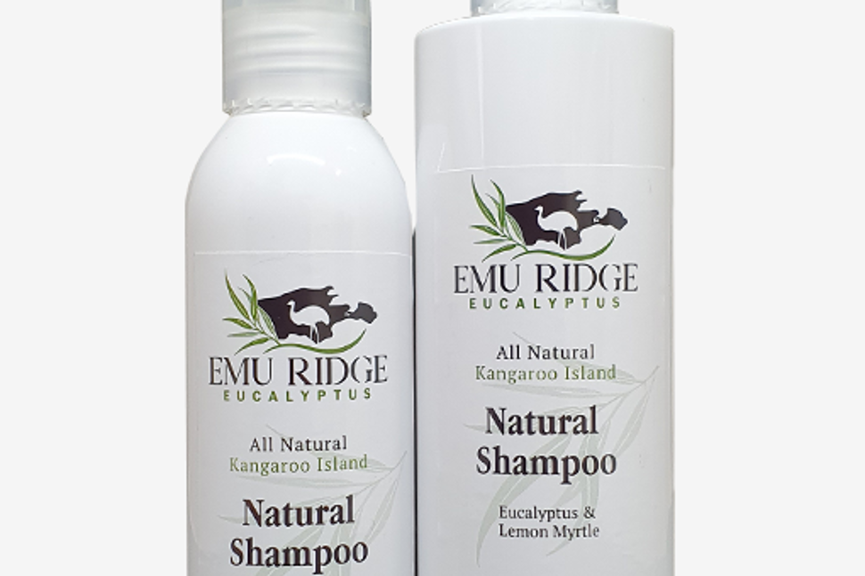 Natural Shampoo- All Natural 