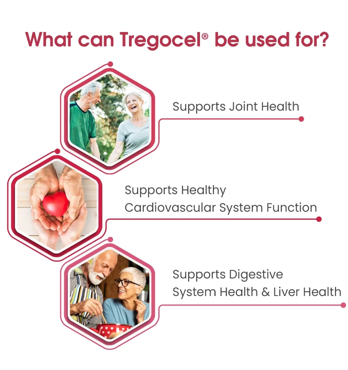 Tregocel Image