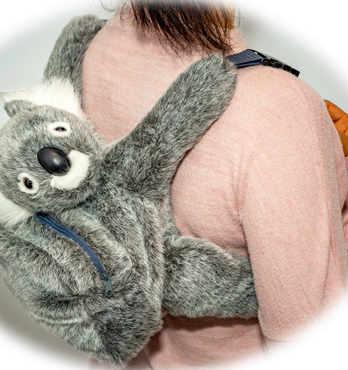 Koala Back Pack Image