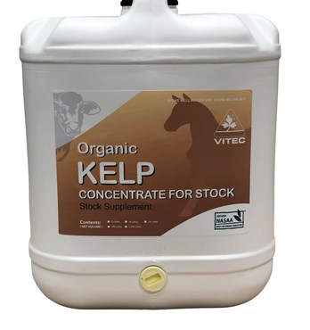 Vitec Kelp for stock Image