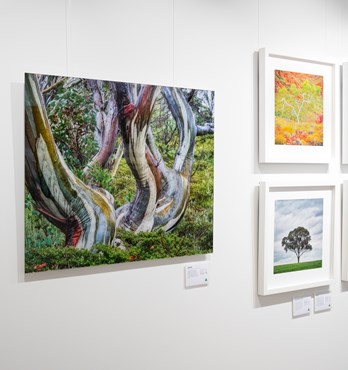 Scott Leggo - Frameless Acrylic Artworks Image