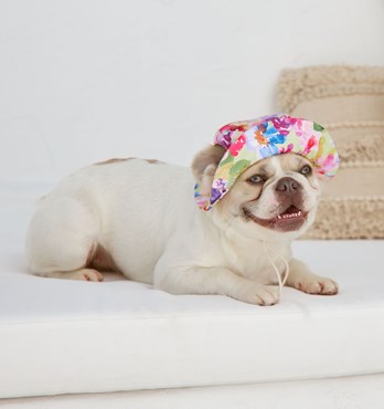 Dog Bucket Hats Image
