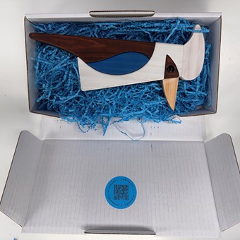 Abstract Aussie Birds